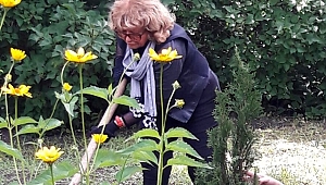 Rahmaninov'un bahçesine İdil Biret ağacı