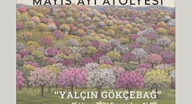 Yalçın Gökçebağ, 15 Mayıs'ta Ankara'da    
