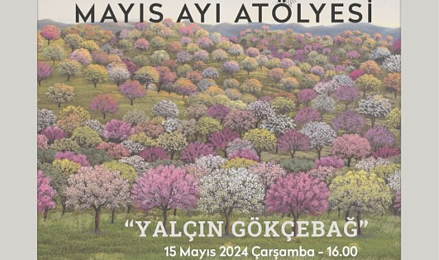 Yalçın Gökçebağ, 15 Mayıs'ta Ankara'da    