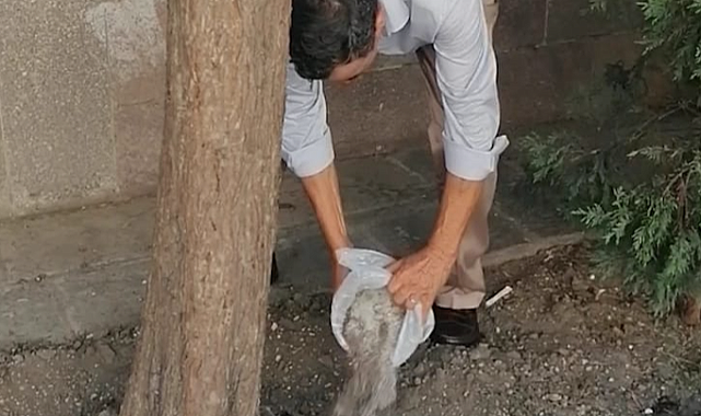 Mezar Toprağı Artık Eski Konservatuvar Bahçesinde